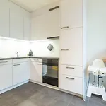 Apartment - Inkl Parking And Ticket Bern